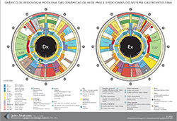 Mapa Iridologia Moderna